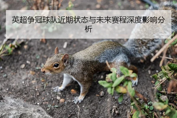英超争冠球队近期状态与未来赛程深度影响分析